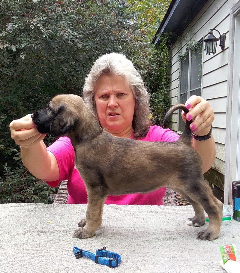 Blue Girl 4 Weeks.jpg - 2132 K